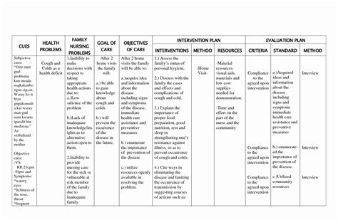 30 Examples Of Nursing Care Plans | Example Document Template