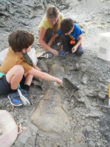 Dig For A Day – Wyoming Dinosaur Center