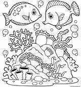 Marine Animal Coloring Pages Sketch Page sketch template