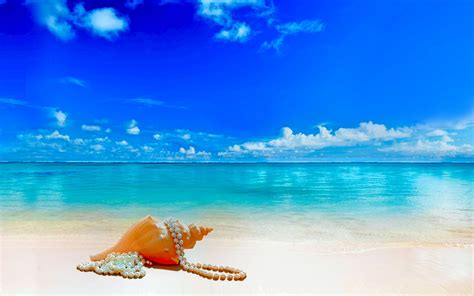 Download Cloud Pearl Summer Shell Nature Sky Horizon Beach Photography ...