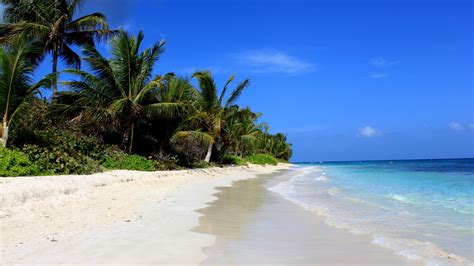 Wallpaper ID: 781101 / Puerto Rico, Flamenco Beach, palms, Travellers Choice Awards 2016, Best ...