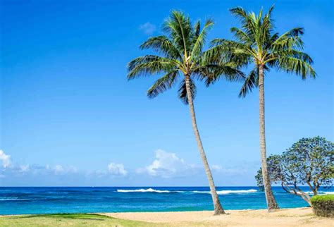 13 Best Kauai Beaches for Families (2023)