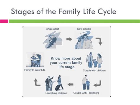 Developmental Stages Of Family Life Cycle