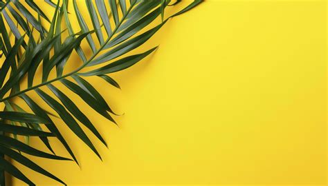 Yellow Summer Background Stock Photos, Images and Backgrounds for Free ...