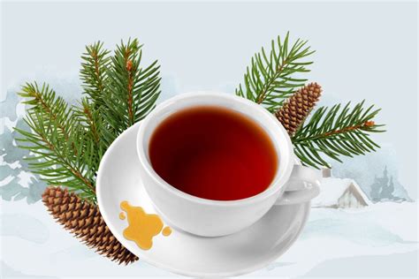 Amazing Spruce Needle Tea Recipe - How to Use 🌲100% Natural