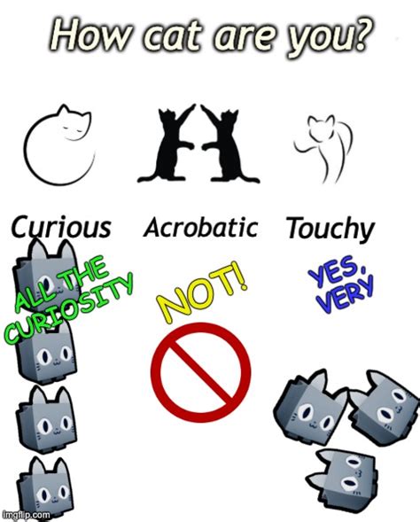 New Template for your catness "How CAT are you?" - Imgflip