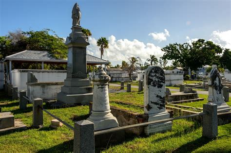 Bubba's Garage: Looking for Iguanas at the Key West Cemetery