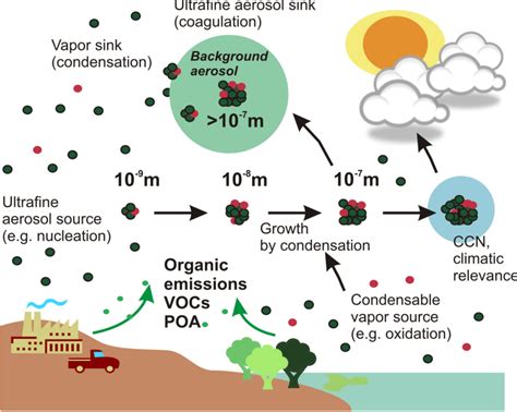 Figure 1 from Organic condensation: a vital link connecting aerosol ...