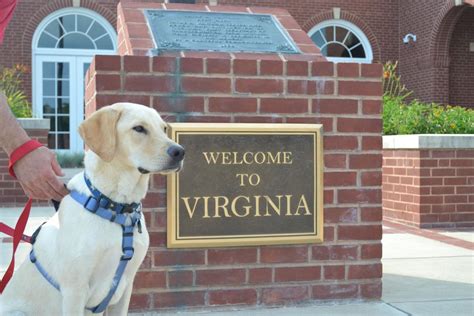 Top 5 Pet Friendly Hotels in Virginia | TripsWithPets.com