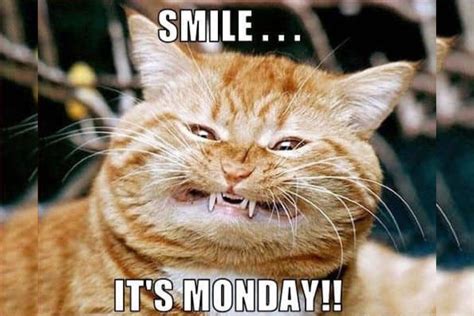 14 Hilarious Happy Monday Memes [2022]