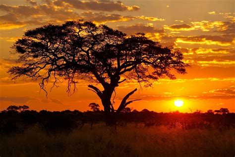 Pin de Brian em Africa | Natureza incrível, Ideias para pintura, Por do sol