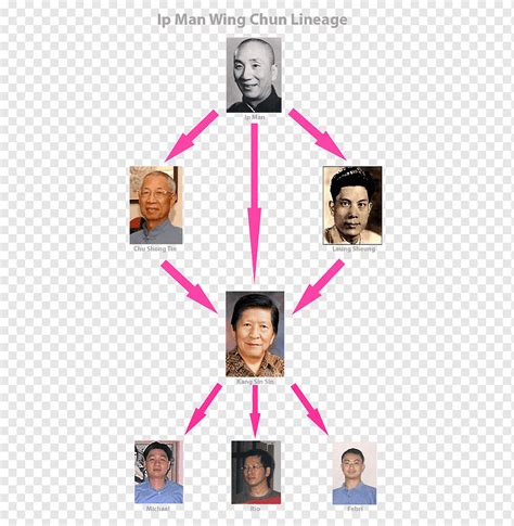 Ip Man Chu Shong-tin Leung Sheung Ip Chun Wing Chun, şişman çocuk, face ...