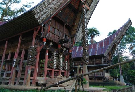 Ragam Tradisi Budaya Sulawesi Selatan yang Menarik untuk Kita Ketahui