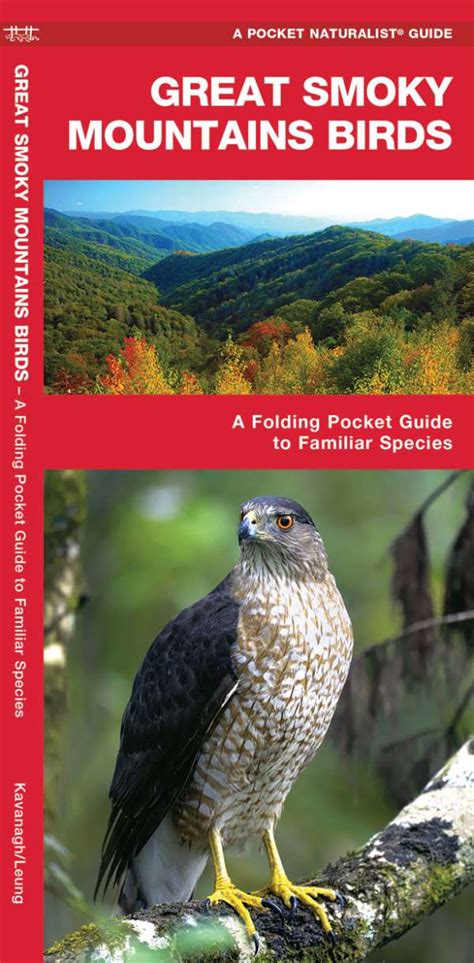 Great Smoky Mountains Birds - Pocket Guide