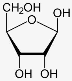 Fructose 1 6 Bisphosphate Structure, HD Png Download , Transparent Png Image - PNGitem