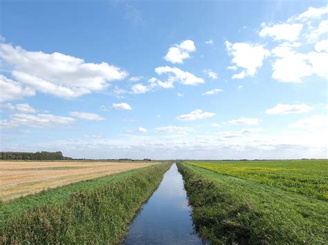 Norfolk 'N Good: View across the Fens - near Grunty Fen