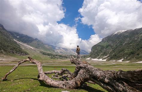 Kishtwar High Altitude National Park - mykishtwar.com