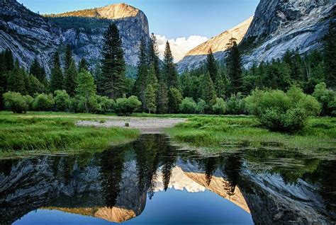 The Best Activities in Yosemite and Bass Lake - The Pines Resort Blog | Bass lake yosemite, Bass ...