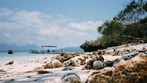 Pulau Menjangan Bali Barat - Hal Perlu Anda Tahu Sebelum Berkunjung