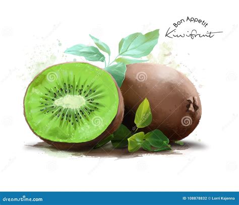 Kiwi Fruit and Watercolor Splashes Stock Illustration - Illustration of drawing, white: 108878832