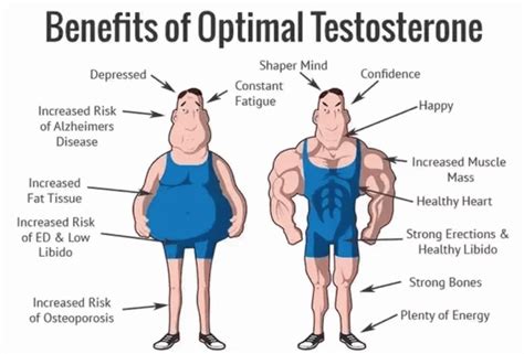 Higher Testosterone levels for more Muscle growth & Fat Loss | Zone Nutrition