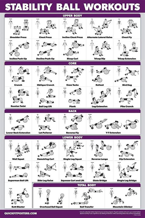 Amazon.com : QuickFit Exercise Ball Workout Poster - Stability Ball ...