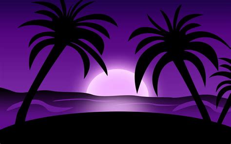 2K free download | Purple sunset, black, palm, sunset, silhouette, tree, purple, summer, vactor ...