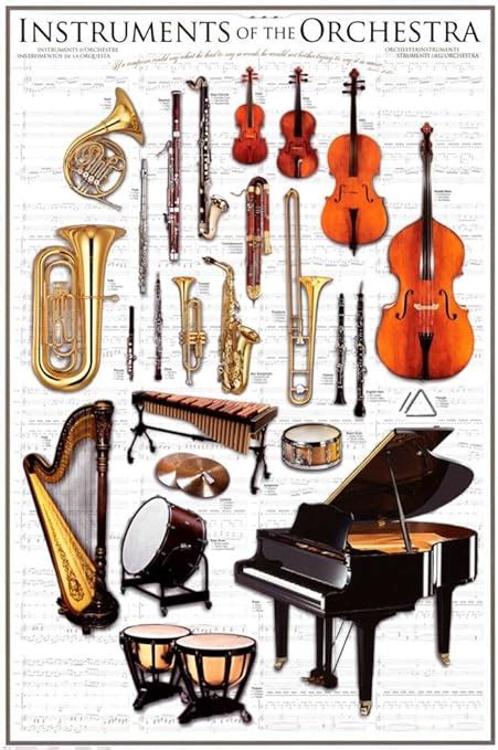 Amazon.com: Instruments Symphony Orchestra Poster 24 x 36in: Prints: Posters & Prints