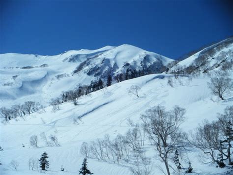 Tsugaike Kogen Ski Resort Guide | Snow-Forecast.com