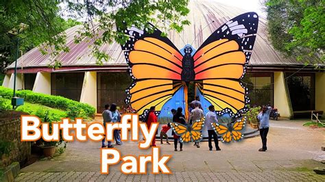 Butterfly park Bangalore| Bangalore Tourist places| day out in ...