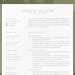 Functional Resume Template, Skill Based Resume, Career Change Resume, Resume Template With ...