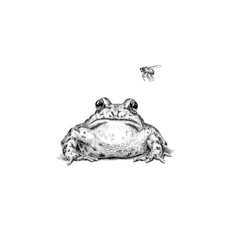 Frog with Fly by Imoya Design | Frog tattoos, Cute tattoos, Nature tattoos