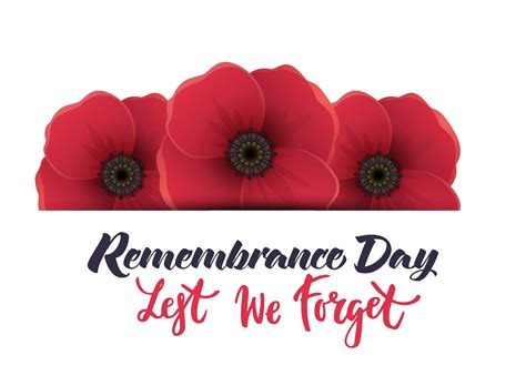 Remembrance Day Download PNG Image