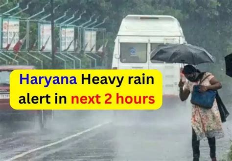 Haryana Weather Update: There will be heavy rain in these districts of ...