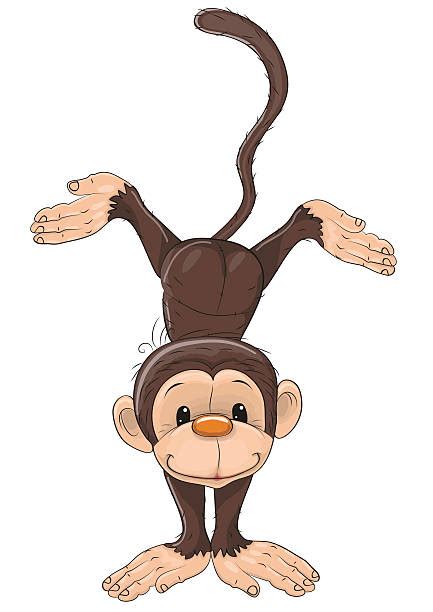 70+ Capuchin Monkey Drawing Stock Photos, Pictures & Royalty-Free Images - iStock