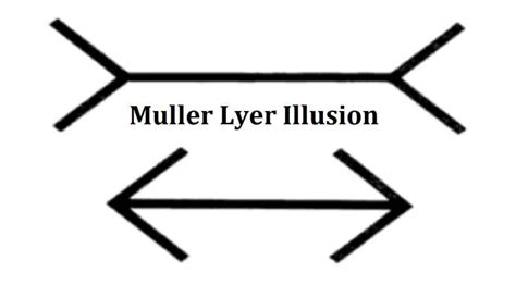 Muller Lyer Illusion Definition And Application In Real Life » 2024