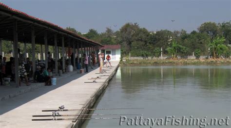 Pattaya Fishing Park - Pattaya Fishing