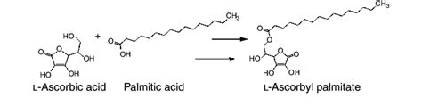 Ascorbyl Palmitate Benefits » The Nutraceutical Database