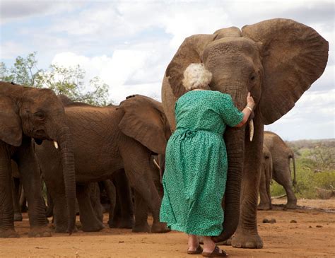 The empress of elephant orphans dies | MPR News