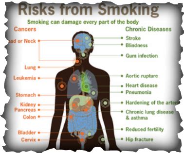 Hookah - The Effects Of Smoking