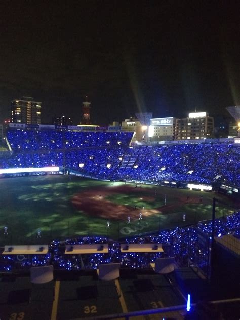 The Novelty and Awesomeness of A Japanese Baseball Game - Sea Leg Adventure