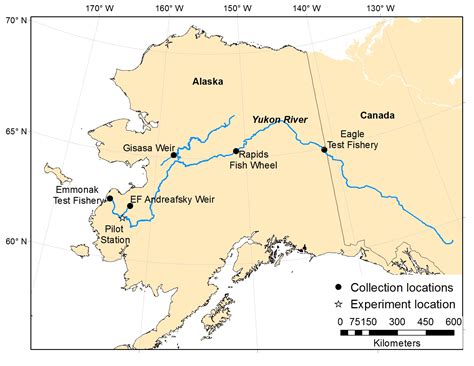 Map of Yukon Chinook salmon muscle tissue collection locations | U.S. Geological Survey