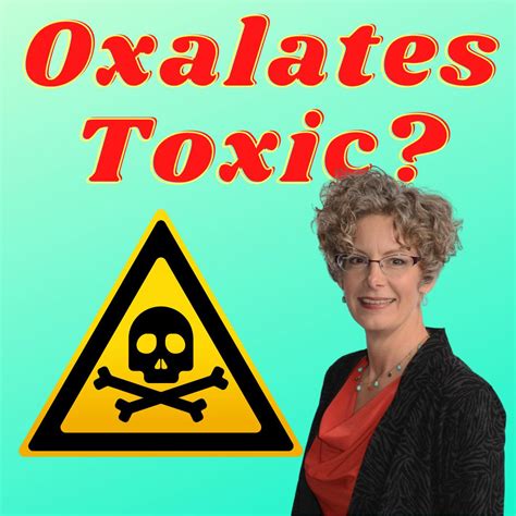 Sally K Norton Explains Oxalates - Facts & Myths | Carnivore Diet | Listen Notes