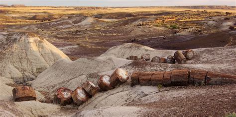 Petrified Forest National Park