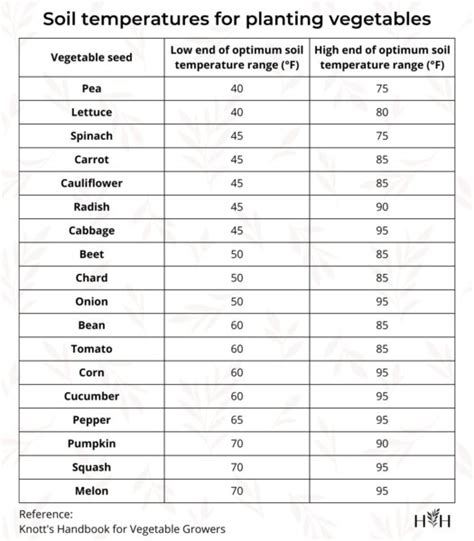 Soil temperature for planting vegetables chart 🌡️ 🥕 A gardener's key to success