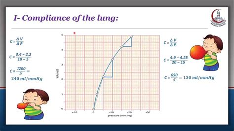 Physiology : Lung Elasticity, Surfactant & Work Of Breathing - YouTube