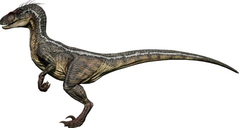 Velociraptor | Jurassic World Evolution Wiki | Fandom | Jurassic world dinosaurs, Velociraptor ...