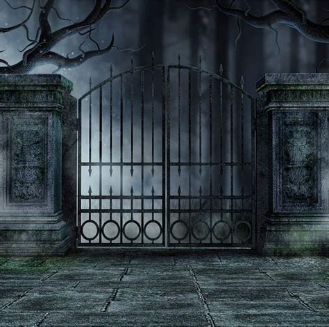 LFEEY ft Old Iron Door Fence Halloween Backdrops for graphers Scary Aged Ghost Haunted Castle ...