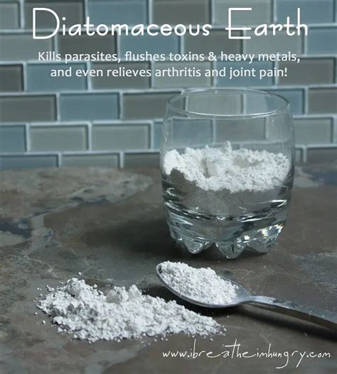 The Many Health Benefits of Diatomaceous Earth - The Homestead Survival