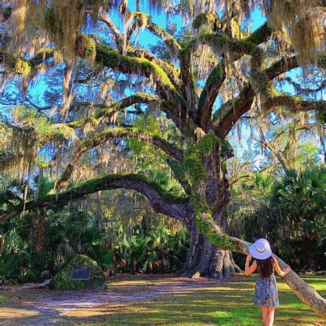 Kayaking Tomoka State Park In Florida | Tomoka state park, State parks ...